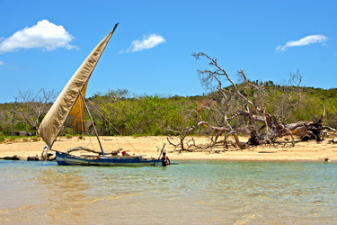 Similar image 10853663