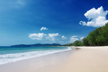 Similar image 10854215