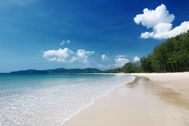 Similar image 10854235