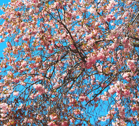 Similar image 10853624