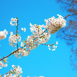 Similar image 10853626