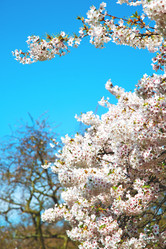 Similar image 10853681