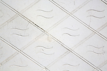 Similar image 10853644