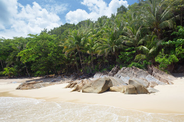 Similar image 10854263