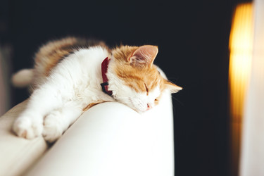 Similar image 10854266