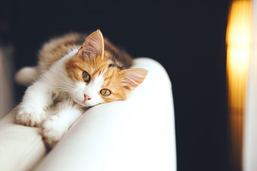 Similar image 10854267