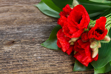 Similar image 10853369