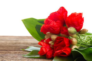 Similar image 10853370