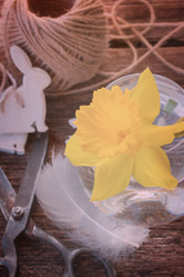 Similar image 10853356