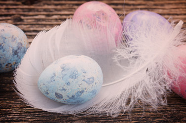 Similar image 10853373