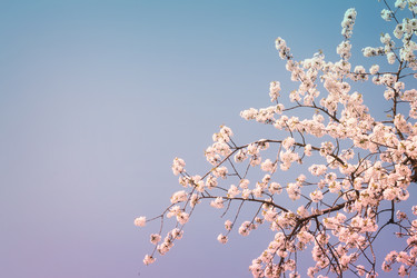 Similar image 10853437