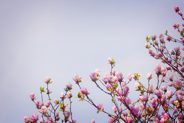 Similar image 10853357