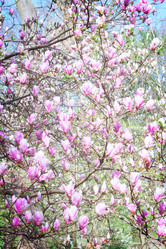 Similar image 10853376