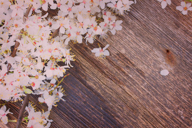 Similar image 10853379