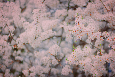 Similar image 10853380