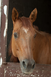 Similar image 10853193