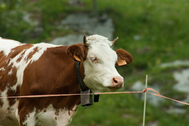 Similar image 10853231