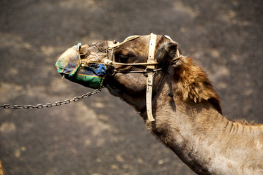 Similar image 10853924