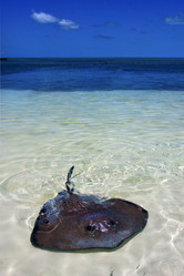 Similar image 10853519