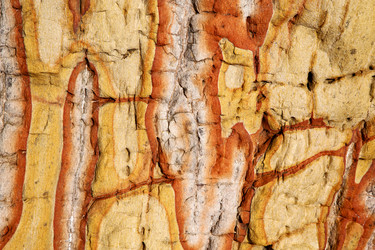 Similar image 10853636