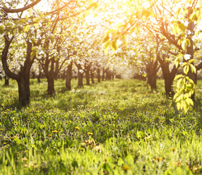 Similar image 10852966