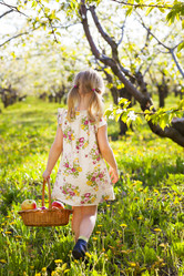 Similar image 10852609