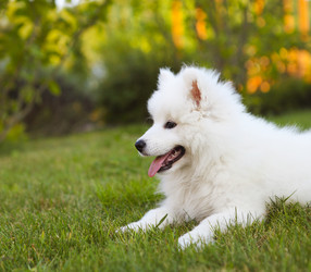 Similar image 10852978