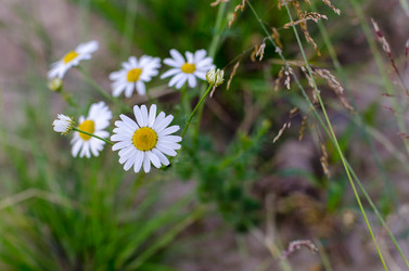 Similar image 10856385