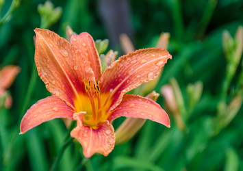 Similar image 10856387