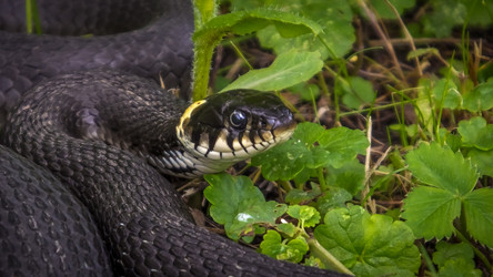 Similar image 10856388