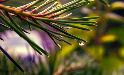 Similar image 10856389