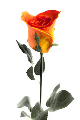 Similar image 10860742