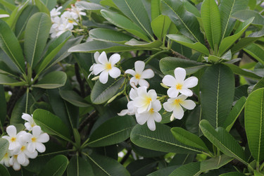 Similar image 10852738