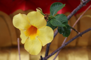 Similar image 10852739