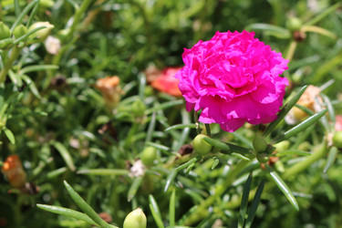 Similar image 10852816