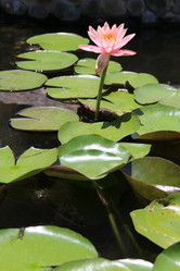 Similar image 10852817