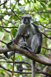 Similar image 10854320