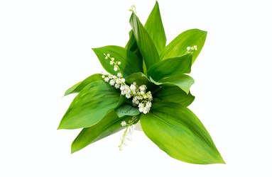 Similar image 10852490