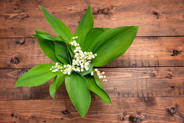 Similar image 10852492