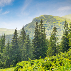 Similar image 10856565