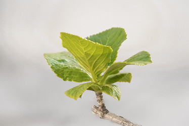 Similar image 10853268