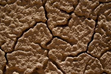 Similar image 10853884