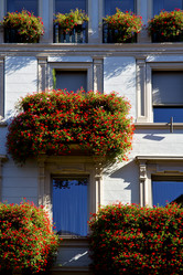 Similar image 10853886