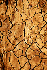 Similar image 10853976