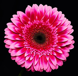 Similar image 10854417