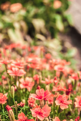 Similar image 10854072