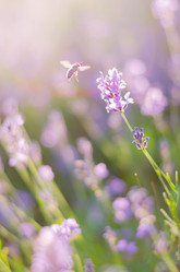 Similar image 10852779