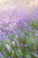 Similar image 10852780