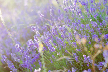 Similar image 10852818