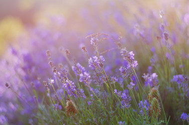 Similar image 10852819